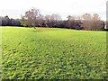 Open space, North Walbottle