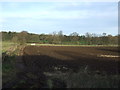 Farmland north of the A58 near Collingham