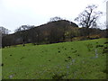 Part of the Ceiriog Valley in winter