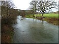 Swollen River Severn from Dolwen bridge