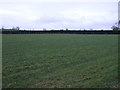 Farmland near Kirkby Overblow