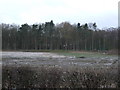 Farmland towards Long Plantation