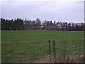 Farmland off Rudding Lane