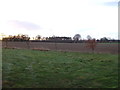 Farmland near Old Thornville