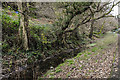 Glamorganshire Canal