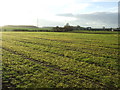 Farmland, Deighton Grange