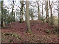 Castell Talyllychau / Talley Mound