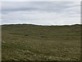 Grassland, Summerside