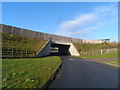 Lybury Lane passes under the M1