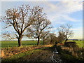 Bridleway on Healthwaite Hill