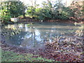 Village pond, Dunsmore