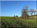 Bridleway from Swindon Lane to Swindon Lane