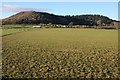 SO4746 : Farmland below Nupton Hill by Philip Halling