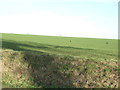 Farmland, White Gates