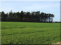 Farmland towards High Covert