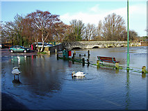 SZ1393 : Jan 2014: the flooded River Stour at the old Iford Bridge (2) by Mike Searle