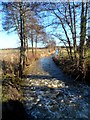 River Flit looking west