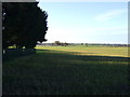 Farmland, Clareton