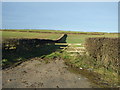 Field entrance off New Road (A59)