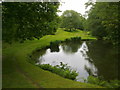 Pond at Cosford Mill near Thursley