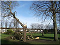 Storm damage in St Mary