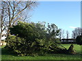 Storm damage in St Mary