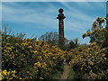 Gorse lines the path up to the Monument on Caldy Hill