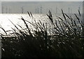 TF5762 : Lynn Offshore Windfarm viewed from Lagoon Walk by Mat Fascione