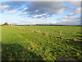 Footpath leading towards Swindon Grange Farm