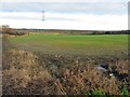 Arable land north of Lowbiggin