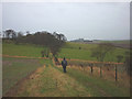 Footpath approaching Shada Plantation