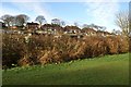 Allotments alongside the former  Gallows Close carriage sidings