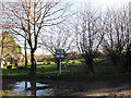 Petham Court Allotments