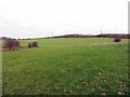 Fields north of Hospital Lane