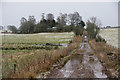 Ghenty Cottage, near Kirriemuir