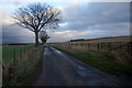 Road at Ingliston, Eassie