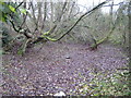 Watlington: Former watercress bed