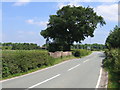 Lache Lane and Balderton Bridge