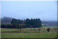 Glen Isla at Balnamenoch