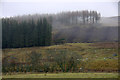 Forestry in Glen Isla at Balnamenoch