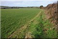 SW5936 : Farmland and footpath by Philip Halling