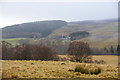 Glen Shee at Mount Blair Lodge