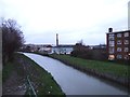 The New River, near Woodberry Down