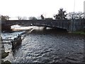 Bridge and Weir on the Allan Water