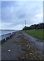 SJ3686 : Promenade by the Mersey by William Starkey