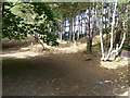 Junction of paths at the fenced caravan park