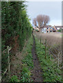 Footpath to Lowes Lane