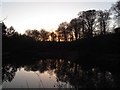 Quarry Bank Mill: mill pond at dusk