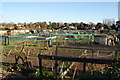 Allotments on Bury Road, Thetford