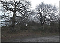 Entrance to Church Farm Nature Reserve